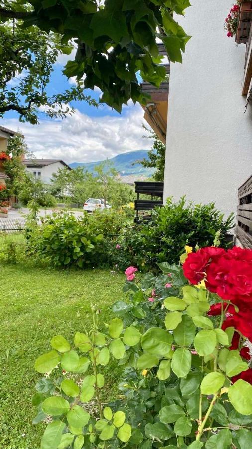 Lanima Apartment Bled Bagian luar foto